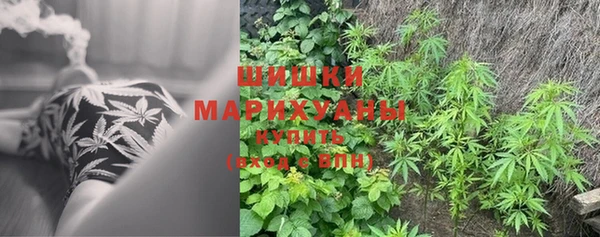 гашик Нефтегорск