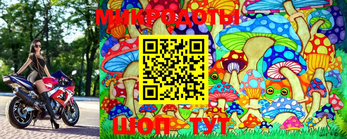 Псилоцибиновые грибы MAGIC MUSHROOMS Краснознаменск