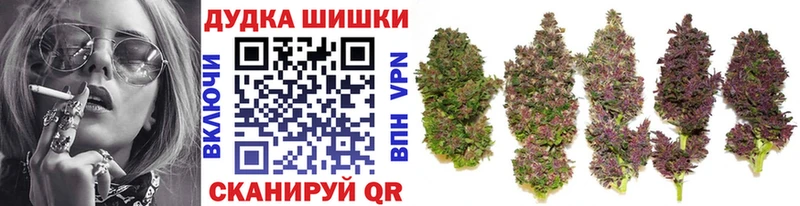 где купить   Краснознаменск  МЕГА вход  Шишки марихуана семена 